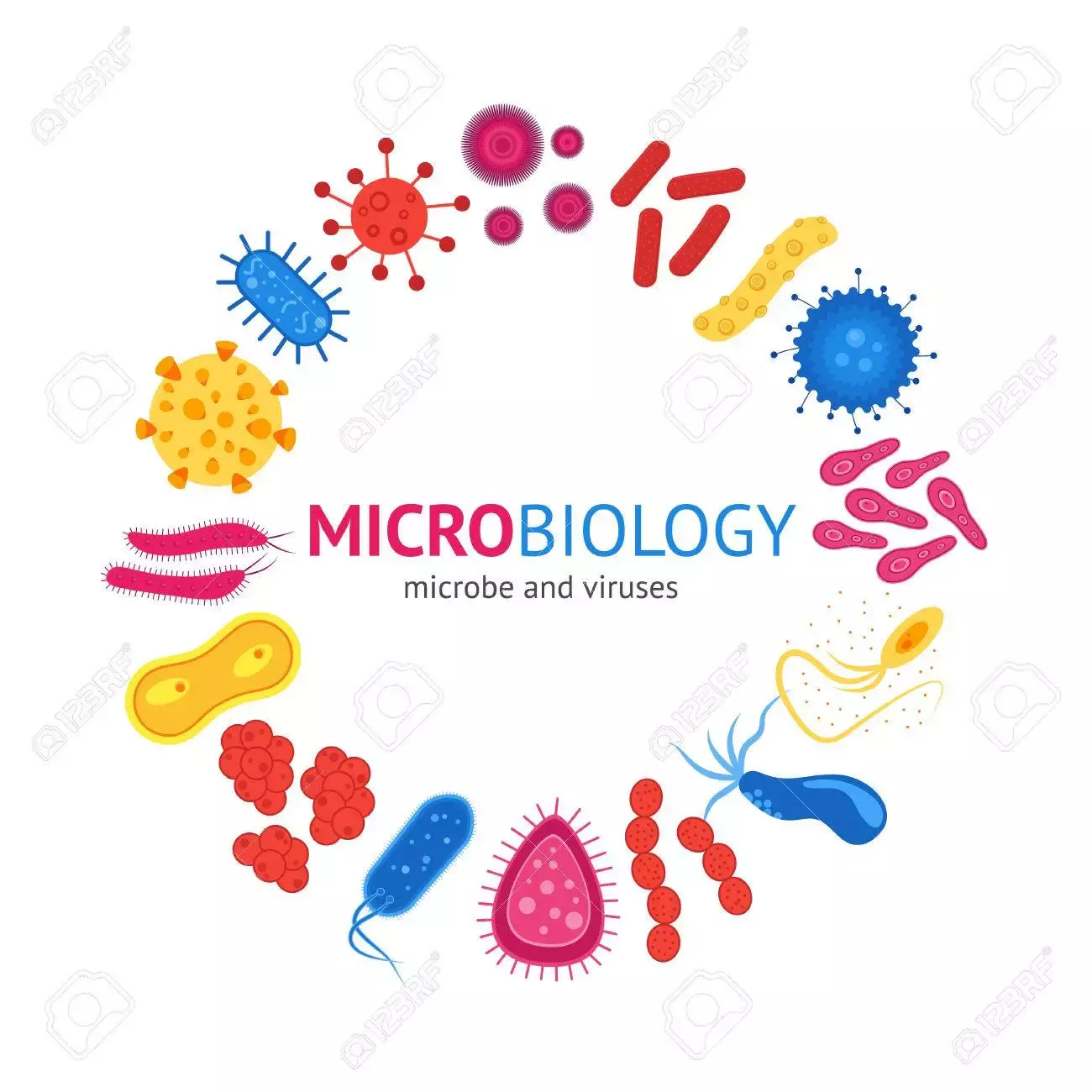 microbiology molecules