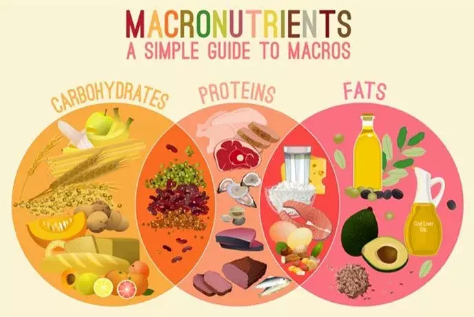 fats,proteins,carbohydrates